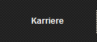 Karriere 